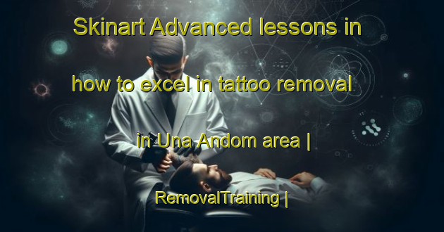 Skinart Advanced lessons in how to excel in tattoo removal in Una Andom area | RemovalTraining | RemovalClasses | SkinartTraining-Eritrea